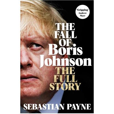 Macmillan The Fall of Boris Johnson, Sachbücher von Sebastian Payne Macmillan The Fall of Boris Johnson, Sachbücher von Sebastian Payne