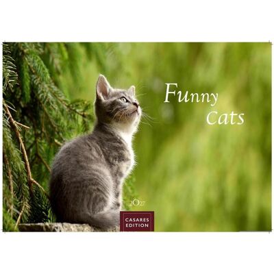 Casares Fine Art Edition, Kalender, Funny Cats Kalender 2027 Casares Fine Art Edition, Kalender, Funny Cats Kalender 2027