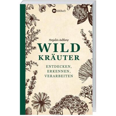 Landwirtschaftsverlag Wildkräuter entdecken, erkennen und verarbeiten, Ratgeber von Marjolein Holtkamp Landwirtschaftsverlag Wildkräuter entdecken, erkennen und verarbeiten, Ratgeber von Marjolein Holtkamp