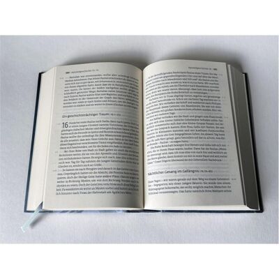 SCM Willkommen daheim - Crown Edition, Fachbücher von Fred Ritzhaupt SCM Willkommen daheim - Crown Edition, Fachbücher von Fred Ritzhaupt