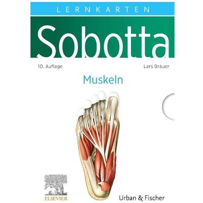 Elsevier Bräuer:Sobotta Lernkarten Muskeln, Fachbücher von Lars Bräuer Elsevier Bräuer:Sobotta Lernkarten Muskeln, Fachbücher von Lars Bräuer