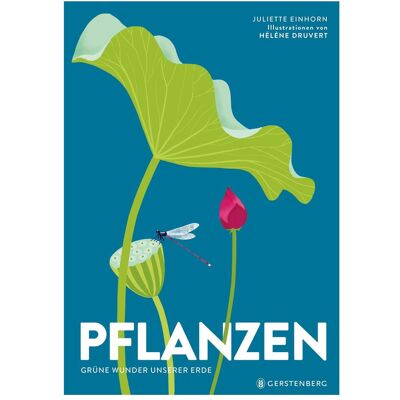 Gerstenberg Pflanzen, Kinderbücher von Juliettte Einhorn, Hélène Druvert, Ursula Bachhausen, Juliette Einhorn Gerstenberg Pflanzen, Kinderbücher von Juliettte Einhorn, Hélène Druvert, Ursula Bachhausen, Juliette Einhorn
