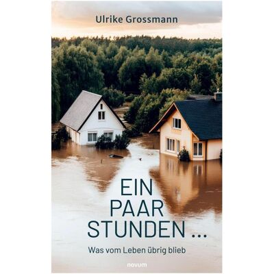 Novum Ein paar Stunden, Belletristik von Ulrike Grossmann Novum Ein paar Stunden, Belletristik von Ulrike Grossmann