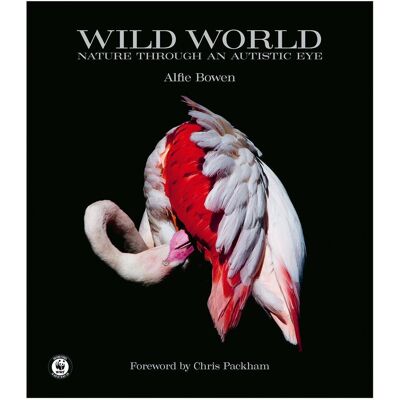 ART Bowen:Wild World, Ratgeber von Alfie Bowen ART Bowen:Wild World, Ratgeber von Alfie Bowen