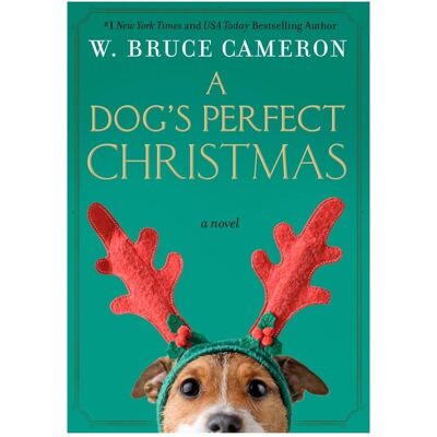 Macmillan Cameron:A Dog's Perfect Christmas, Belletristik von Bruce Cameron Macmillan Cameron:A Dog's Perfect Christmas, Belletristik von Bruce Cameron