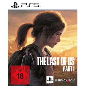 Sony Interactive Entertainment The Last of Us Part 1