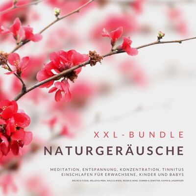 Lynen Media GmbH Xxl-Bundle: Naturgeräusche Lynen Media GmbH Xxl-Bundle: Naturgeräusche