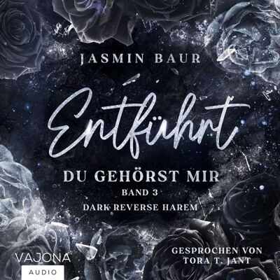 VAJONA Audio Du Gehörst Mir VAJONA Audio Du Gehörst Mir