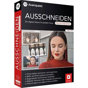 PLAION GmbH Ausschneiden Professional (Code In A Box)