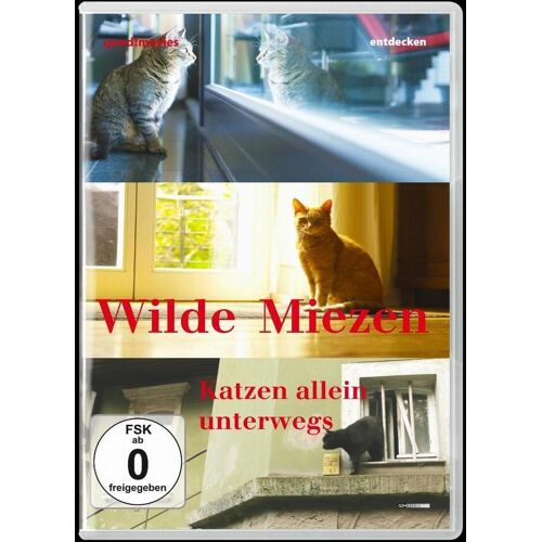 375 Media GmbH Wilde Miezen-Katzen Allein Unterwegs