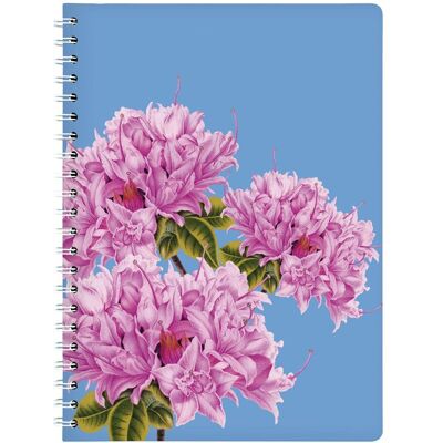 CEDON MuseumsShops Ringbuch A4 Azalee CEDON MuseumsShops Ringbuch A4 Azalee