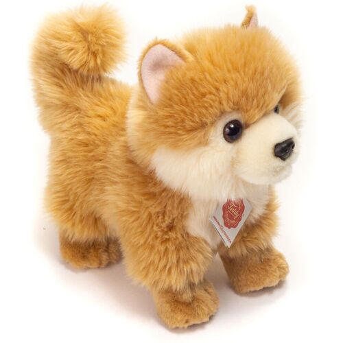 Teddy-Hermann - Zwergspitz 22 Cm