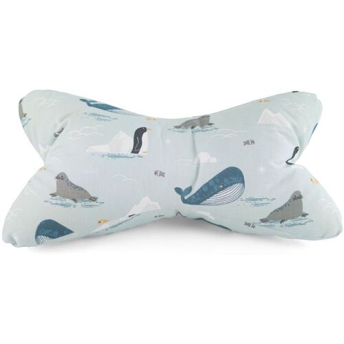 Plückefinken Leseknochen - Polarfreunde