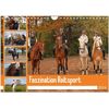 Faszination Reitsport (Wandkalender 2024 Din A4 Quer) Calvendo Monatskalender