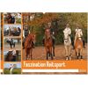 Faszination Reitsport (Wandkalender 2024 Din A2 Quer) Calvendo Monatskalender