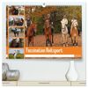 Calvendo Faszination Reitsport (Hochwertiger Premium Wandkalender 2025 Din A2 Quer) Kunstdruck In Hochglanz