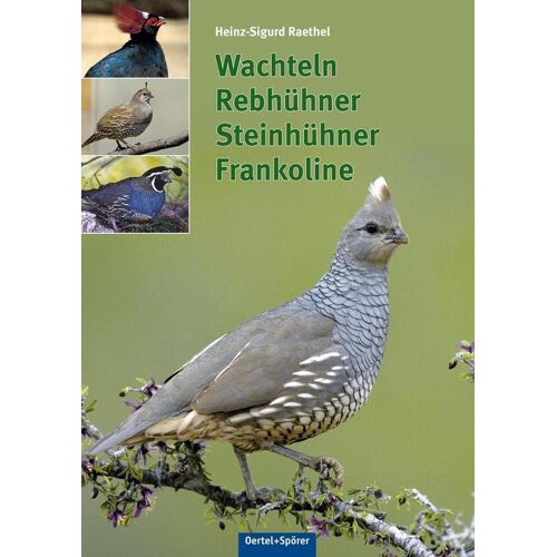 Oertel Und Spoerer GmbH Wachteln Rebhühner Steinhühner Frankoline