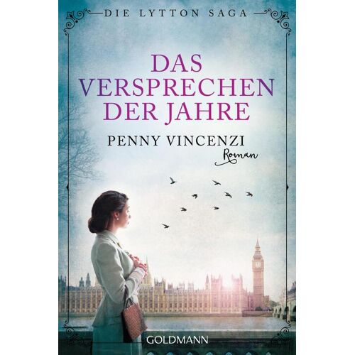 Goldmann TB Das Versprechen Der Jahre