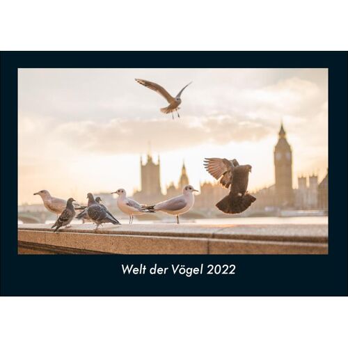 Vero Kalender Welt Der Vögel 2022 Fotokalender Din A4