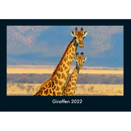 Vero Kalender Giraffen 2022 Fotokalender Din A4