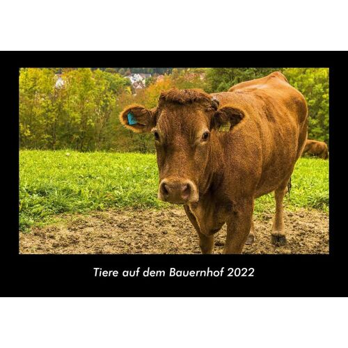 Vero Kalender Tiere Auf Dem Bauernhof 2022 Fotokalender Din A3