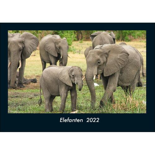 Vero Kalender Elefanten 2022 Fotokalender Din A4