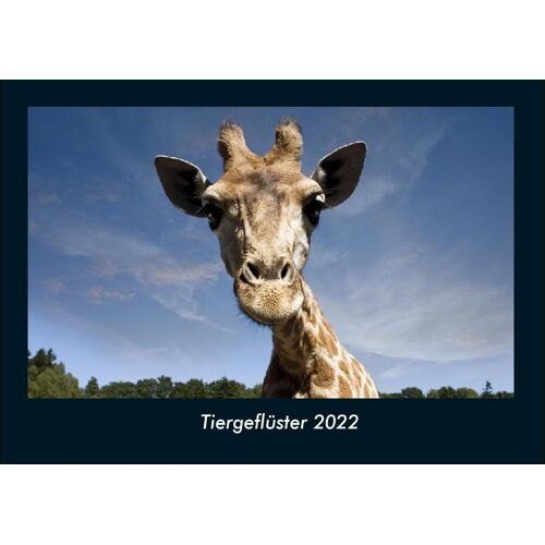 Vero Kalender Tiergeflüster 2022 Fotokalender Din A4
