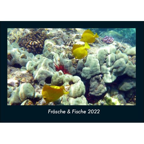 Vero Kalender Frösche & Fische 2022 Fotokalender Din A4