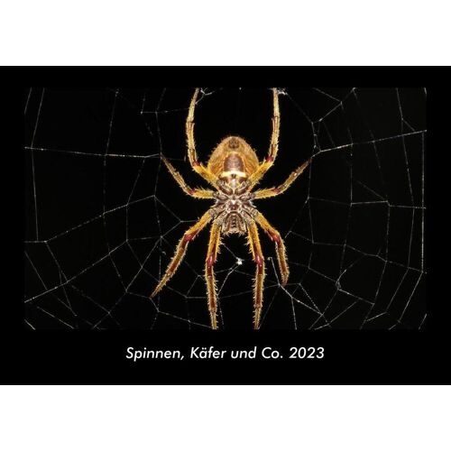 Vero Kalender Spinnen Käfer Und Co. 2023 Fotokalender Din A3