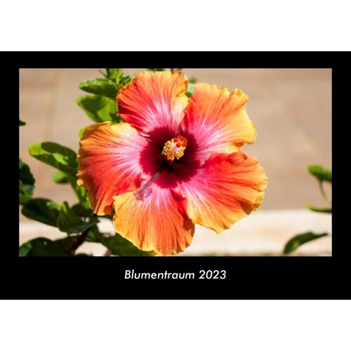 Vero Kalender Blumentraum 2023 Fotokalender Din A3