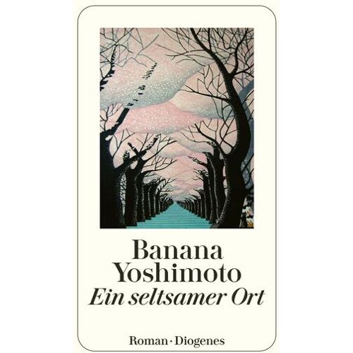 Diogenes Verlag AG Ein Seltsamer Ort