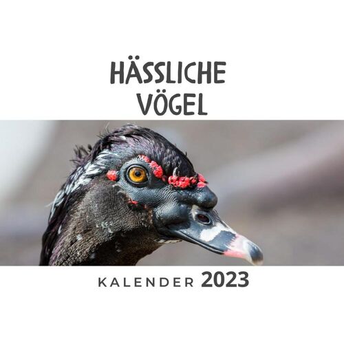 27Amigos Hässliche Vögel