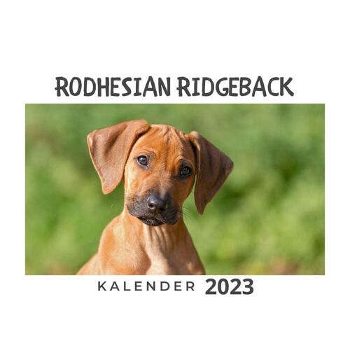 27Amigos Rodhesian Ridgeback