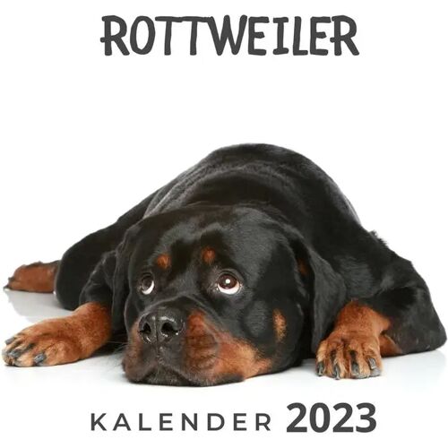 27Amigos Rottweiler