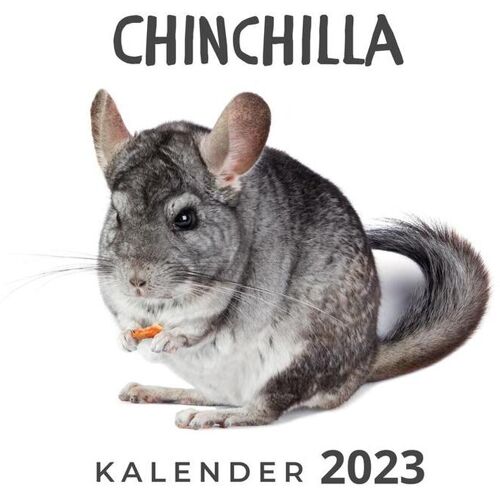 27Amigos Chinchilla