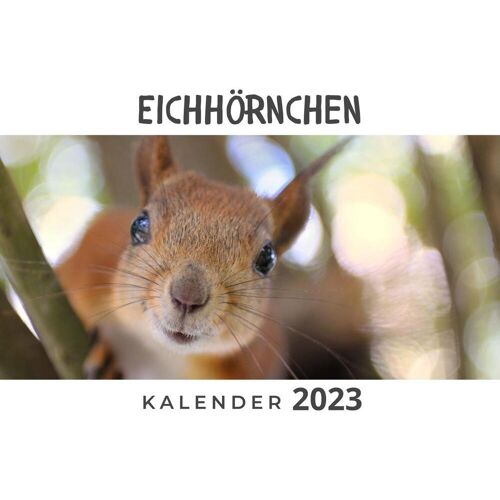 27Amigos Eichhörnchen