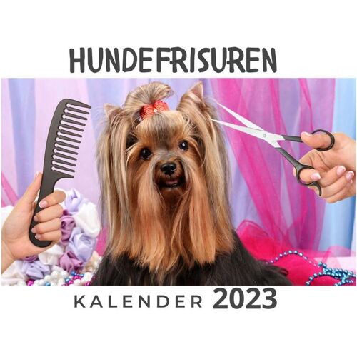 27Amigos Hundefrisuren