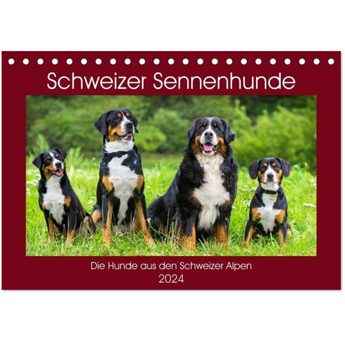 Schweizer Sennenhunde - Die Hunde Aus Den Schweizer Alpen (Tischkalender 2024 Din A5 Quer) Calvendo Monatskalender