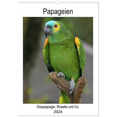 Papageien - Graupapagei Rosella Und Co. (Wandkalender 2024 Din A3 Hoch) Calvendo Monatskalender