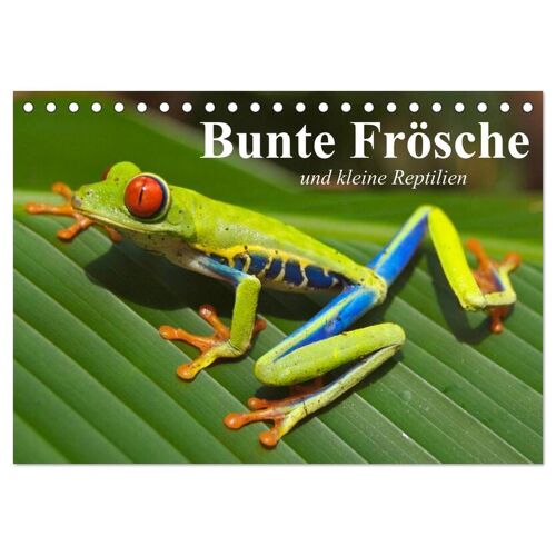 Calvendo Bunte Frösche Und Kleine Reptilien (Tischkalender 2024 Din A5 Quer) Calvendo Monatskalender