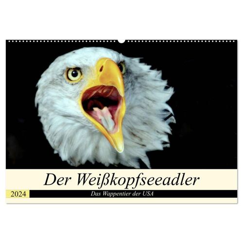 Der Weißkopfseeadler - Das Wappentier Der Usa (Wandkalender 2024 Din A2 Quer) Calvendo Monatskalender