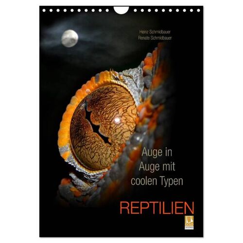 Calvendo Auge In Auge Mit Coolen Typen – Reptilien (Wandkalender 2024 Din A4 Hoch) Calvendo Monatskalender