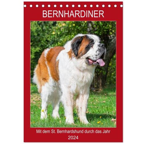 Bernhardiner - Mit Dem St. Bernhardshund Durch Das Jahr (Tischkalender 2024 Din A5 Hoch) Calvendo Monatskalender