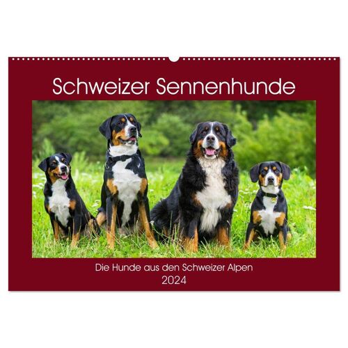 Schweizer Sennenhunde - Die Hunde Aus Den Schweizer Alpen (Wandkalender 2024 Din A2 Quer) Calvendo Monatskalender