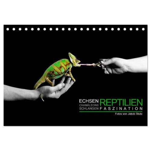 Calvendo Faszination Reptilien (Tischkalender 2024 Din A5 Quer) Calvendo Monatskalender