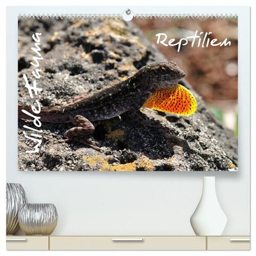Calvendo Wilde Fauna – Reptilien (Hochwertiger Premium Wandkalender 2024 Din A2 Quer) Kunstdruck In Hochglanz