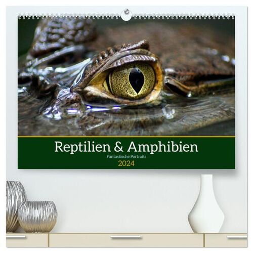 Calvendo Reptilien & Amphibien Portraits (Hochwertiger Premium Wandkalender 2024 Din A2 Quer) Kunstdruck In Hochglanz