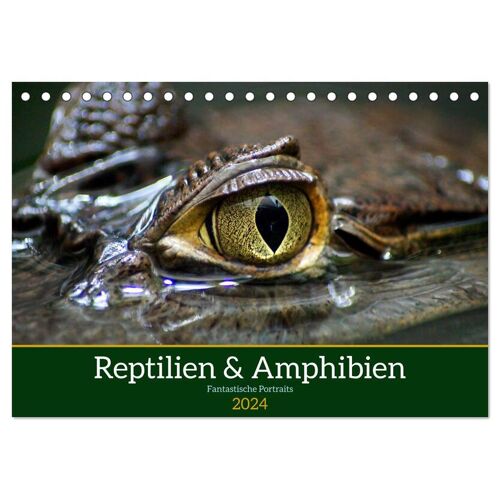 Calvendo Reptilien & Amphibien Portraits (Tischkalender 2024 Din A5 Quer) Calvendo Monatskalender