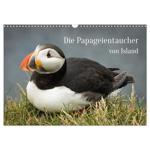 Die Papageientaucher Von Island (Wandkalender 2024 Din A3 Quer) Calvendo Monatskalender