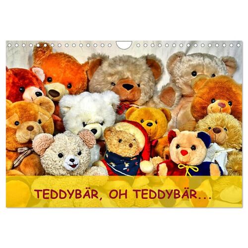 Calvendo Verlag Teddybär Oh Teddybär... (Wandkalender 2024 Din A4 Quer) Calvendo Monatskalender